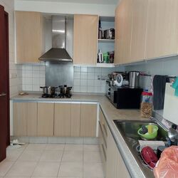Edelweiss Park Condominium (D17), Condominium #395336861